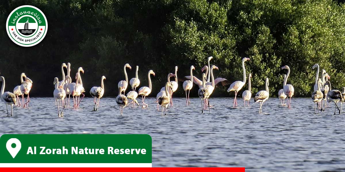 al zorah nature reserve from instauaevisa